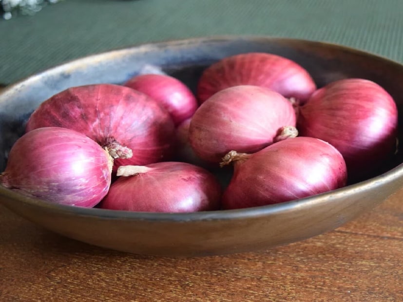 পেঁয়াজ ও রসুন: পেঁয়াজ ও রসুনের রস জলে মিশিয়ে গোটা বাড়িতে স্প্রে করুন কিংবা ঘর মোছার জলে মিশিয়ে নিন। পেঁয়াজ ও রসুনের ঝাঁঝালো গন্ধ টিকটিকি, আরশোলা সহ্য করতে পারে না। অন্যদিকে, বাড়ির কোণায় রসুন ও পেঁয়াজের টুকরো রাখলেও পোকামাকড় দূর হয়।