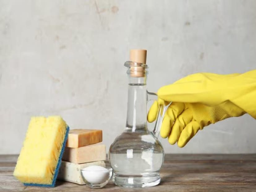 ভিনিগার ও বেকিং সোডা-- ঘর মোছার জলে মিশিয়ে নিন ভিনিগার ও বেকিং সোডা। দুইয়ের গন্ধ সহ্য করতে পারে না আরশোলা ও টিকটিকি।