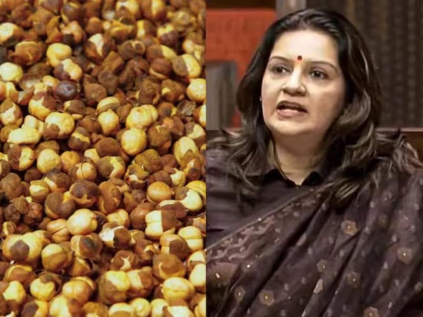 টাটকা ও আকর্ষণীয় খাবার মানেই নিরাপদ, এই ধারণা একেবারেই ভ্রান্ত। টাটকা দেখতে খাবারের আড়ালেই ওঁত পেতে বিপদ। সম্প্রতি সাংসদ প্রিয়াঙ্কা চতুর্বেদী জানিয়েছেন, কিছু বাজারে বিক্রি হওয়া ভাজা ছোলাতে ‘অরামিন’ নামক একটি বিপজ্জনক কৃত্রিম রং মেশানো হচ্ছে।