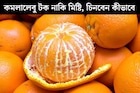 একটা কমলালেবুও টক হবে না, মধুর মতো মিষ্টি হবে সবকটাই! কী দেখে, কীভাবে কিনতে হয়, জানুন