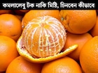 একটা কমলালেবুও টক হবে না, মধুর মতো মিষ্টি হবে সবকটাই! কী দেখে, কীভাবে কিনতে হয়, জানুন