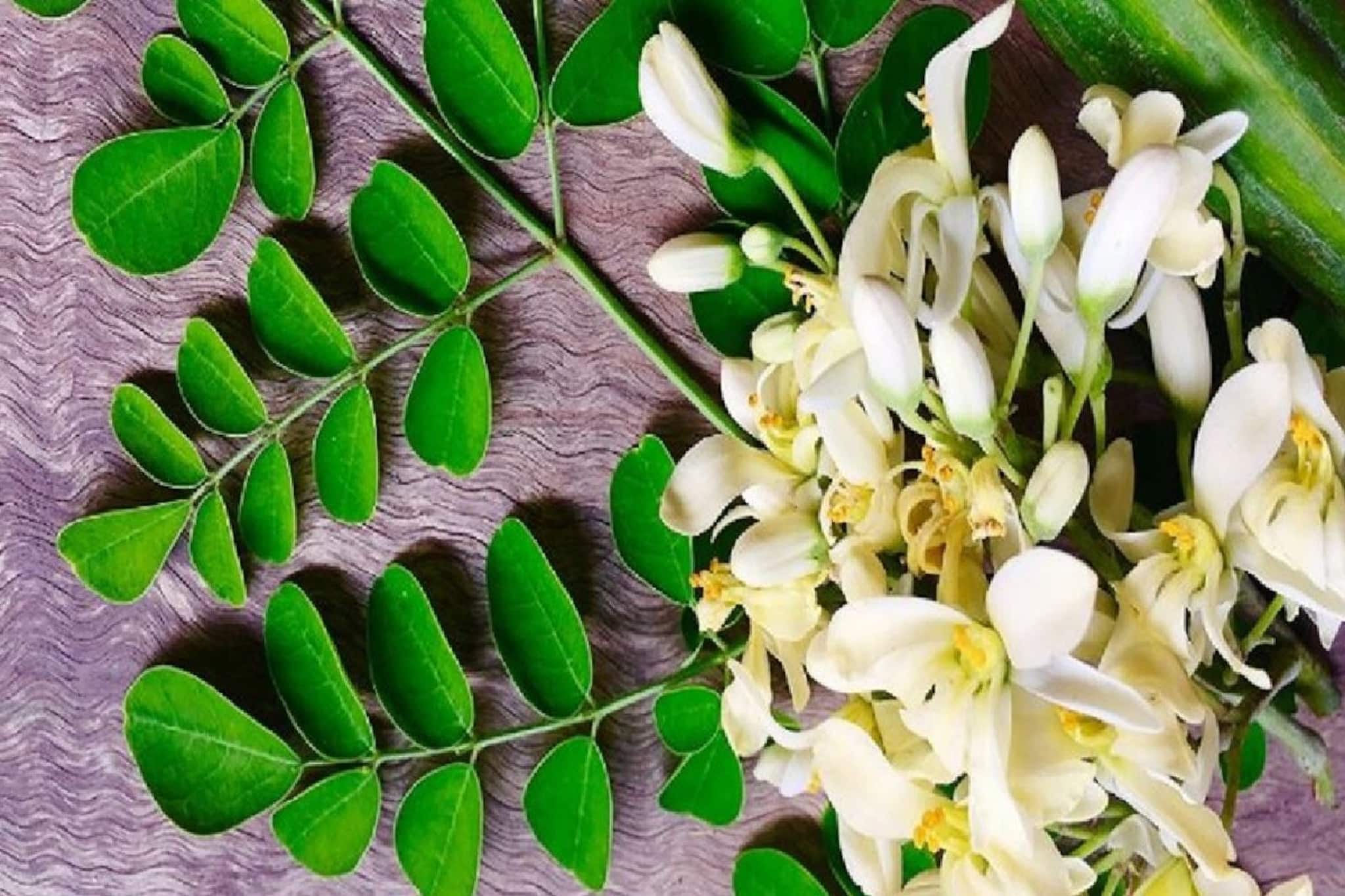 পাতা, ফুল, সবজি পুষ্টিগুণে ঠাসা! শরীর থেকে নিংড়ে বের করে আনে ব্লাড-সুগার...