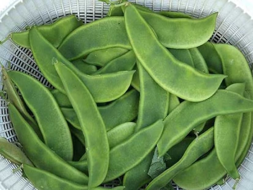 শিম খুবই জনপ্রিয় ও সহজলভ্য একটি সবজি। বাঙালির পাতে বিভিন্ন পদে শিমের বহুল ব্যবহার। শিমের বীজও আলাদা করে রান্না করেও খান অনেকে। বিভিন্ন সুস্বাদু পদও তৈরি করা যায় বীজ দিয়ে। শিম খুবই জনপ্রিয় ও সহজলভ্য একটি সবজি। বাঙালির পাতে বিভিন্ন পদে শিমের বহুল ব্যবহার। শিমের বীজও আলাদা করে রান্না করেও খান অনেকে। বিভিন্ন সুস্বাদু পদও তৈরি করা যায় বীজ দিয়ে।