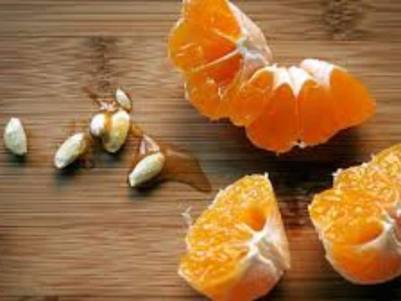 তীব্র টকের বদলে মিষ্টি স্বাদের কমলা লেবু খেতেই পছন্দ করেন বেশিভাগজন। কিন্তু কিনতে গিয়ে কীভাবে বুঝবেন কমলা মিষ্টি হবে নাকি টক? সেই পদ্ধতিই শেখালেন ফল বিক্রেতা ঠাকুরারাম মালি। 