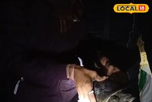 Tortoise Rescue: বাড়ির দোরগোড়ায় রাতের অন্ধকারে হাজির 'বন্য অতিথি'! যা করলেন হাওড়ার বাসিন্দা, সত্যিই প্রশংসনীয়