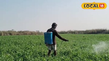 মটরশুঁটি