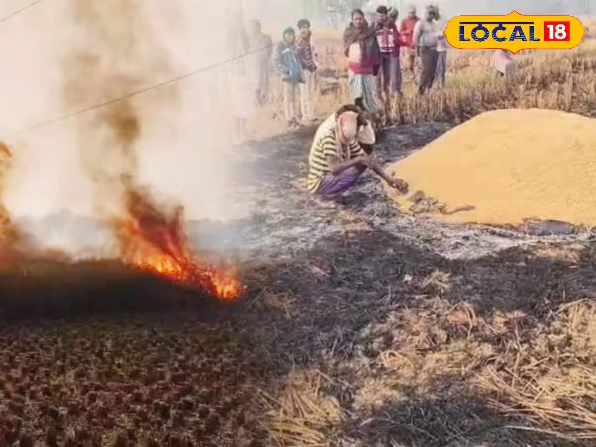 নাড়া পুড়িয়ে নিজেদের বিপদ ডেকে আনছেন চাষিরা! সবটা বুঝিয়ে বললেন বিশেষজ্ঞ