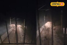 Elephant News: বক্সা জঙ্গল ভেদ করে ছুটছে ইন্টারসিটি এক্সপ্রেস, হঠাৎই ট্রেনের সামনে শাবক-সহ হাতির দল! চালকের এক মুহূর্তের সিদ্ধান্তে রক্ষা পেল বহু প্রাণ