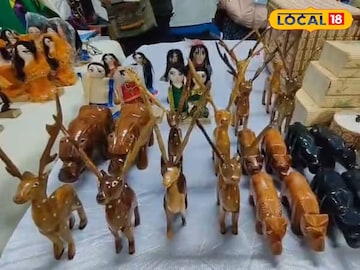 সৃষ্টিশ্রী