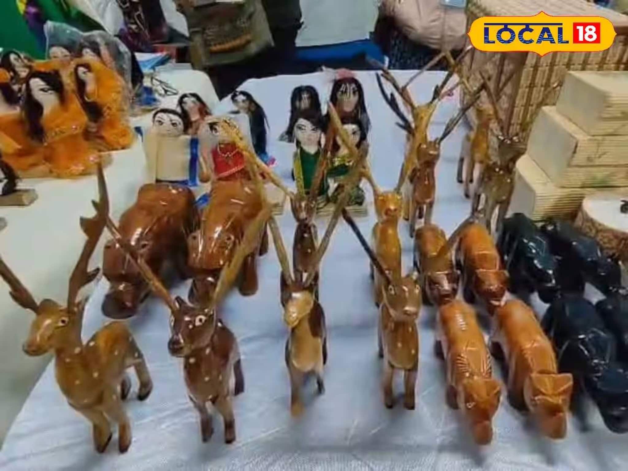 এক ছাদের তলাতেই কত কিছু! আলিপুরদুয়ারে অভিনব মেলার আয়োজন