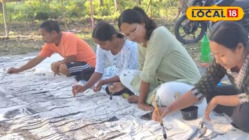 ফ্লেক্স