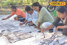 Alipurduar News: পাহাড়ে ঘুরতে যাওয়া পর্যটকদের জন্য নয়া আকর্ষণ! চিলাপাতা পয়েন্টে বাড়ছে ভিড়, কী জন্য জানুন