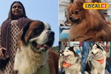 Dog Show: চারপেয়েদের দুষ্টুমিষ্টি কেরামতি! ২৮ বছর পর বহরমপুরে গ্র্যান্ড ডগ শো, মেগা ইভেন্ট দেখতে দর্শকদের ভিড়