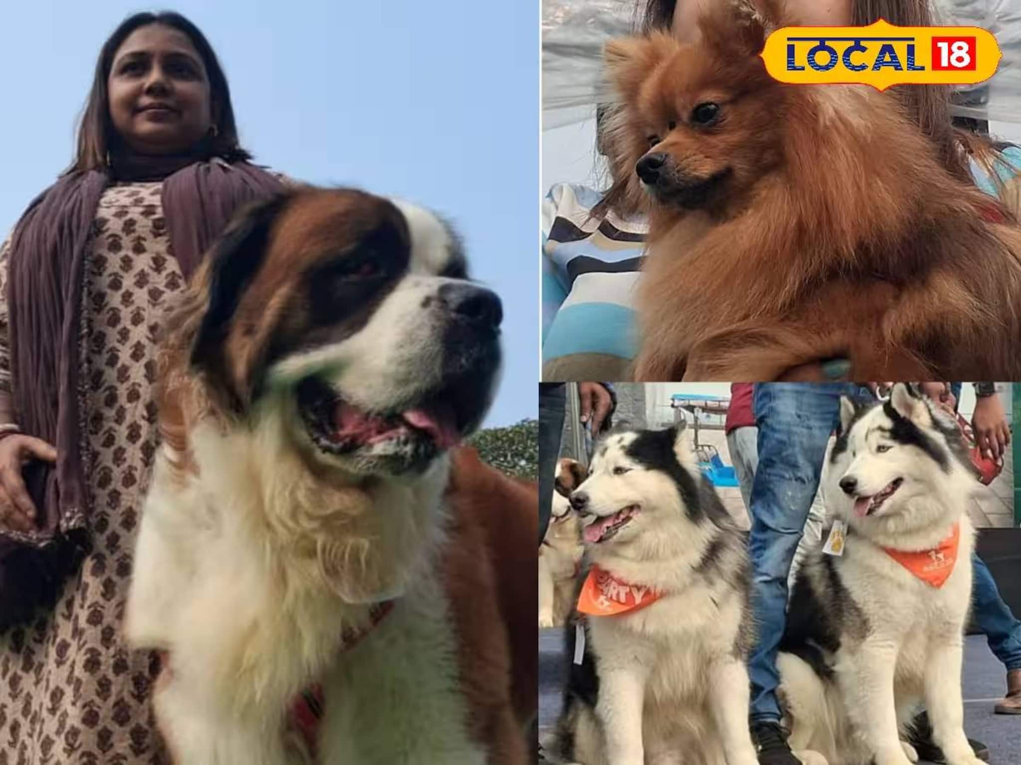 চারপেয়েদের দুষ্টুমিষ্টি কেরামতি! ২৮ বছর পর বহরমপুরে গ্র্যান্ড ডগ শো