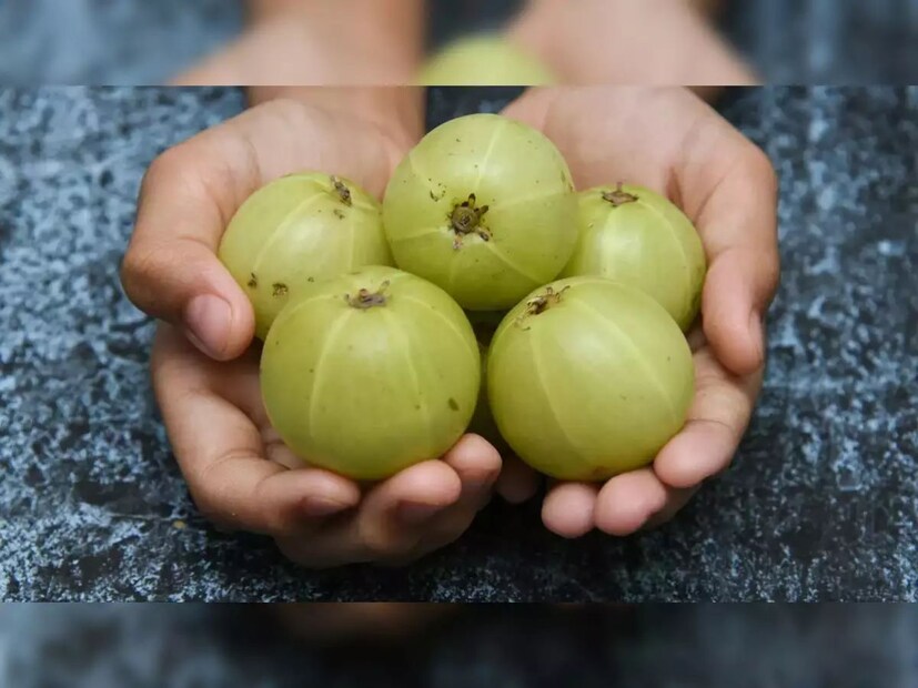 অ্যাসিডিটি: যাদের অ্যাসিডিটির সমস্যা রয়েছে, তাদের আমলকি খাওয়া থেকে বিরত থাকা উচিত। আমলকিতে থাকা ভিটামিন সি-এর আধিক্য হাইপার এসিডিটি থাকা মানুষের সমস্যা বাড়াতে পারে।