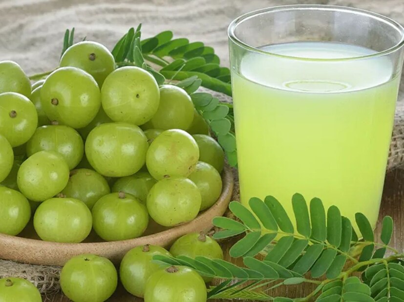 আমলকিকে ভিটামিন সি-এর সবচেয়ে ভাল উৎস মনে করা হয়, যা একজন মানুষের ইমিউনিটি ঠিক রাখতে সাহায্য করে। আমলকিতে ভিটামিন এ, বি কমপ্লেক্স, পটাশিয়াম, ক্যালসিয়াম, ম্যাগনেশিয়াম, আয়রন, কার্বোহাইড্রেট আর ফাইবারের গুণ থাকে, যা শরীরকে অনেক স্বাস্থ্য সমস্যা থেকে বাঁচাতে পারে।