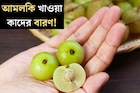 শীতের ‘সুপারফ্রুট’, ভিটামিন-সি-এর ভান্ডার! আমলকি আমলকি খাওয়া কাদের বারণ, জানুন