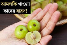 Amla: শীতের ‘সুপারফ্রুট’, ভিটামিন-সি-এর ভান্ডার, আমলকি খাওয়ার আগে সাবধান! কাদের মুখে তোলাও উচিত নয়, পরামর্শ দিলেন চিকিৎসক