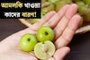 শীতের ‘সুপারফ্রুট’, ভিটামিন-সি-এর ভান্ডার! আমলকি আমলকি খাওয়া কাদের বারণ, জানুন