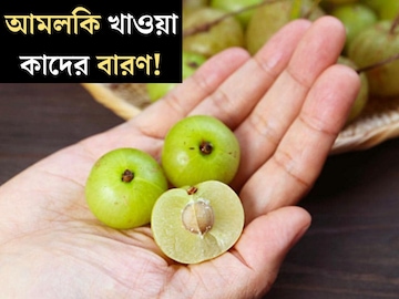 শীতের ‘সুপারফ্রুট’, ভিটামিন-সি-এর ভান্ডার! আমলকি আমলকি খাওয়া কাদের বারণ, জানুন শীতের ‘সুপারফ্রুট’, ভিটামিন-সি-এর ভান্ডার! আমলকি আমলকি খাওয়া কাদের বারণ, জানুন