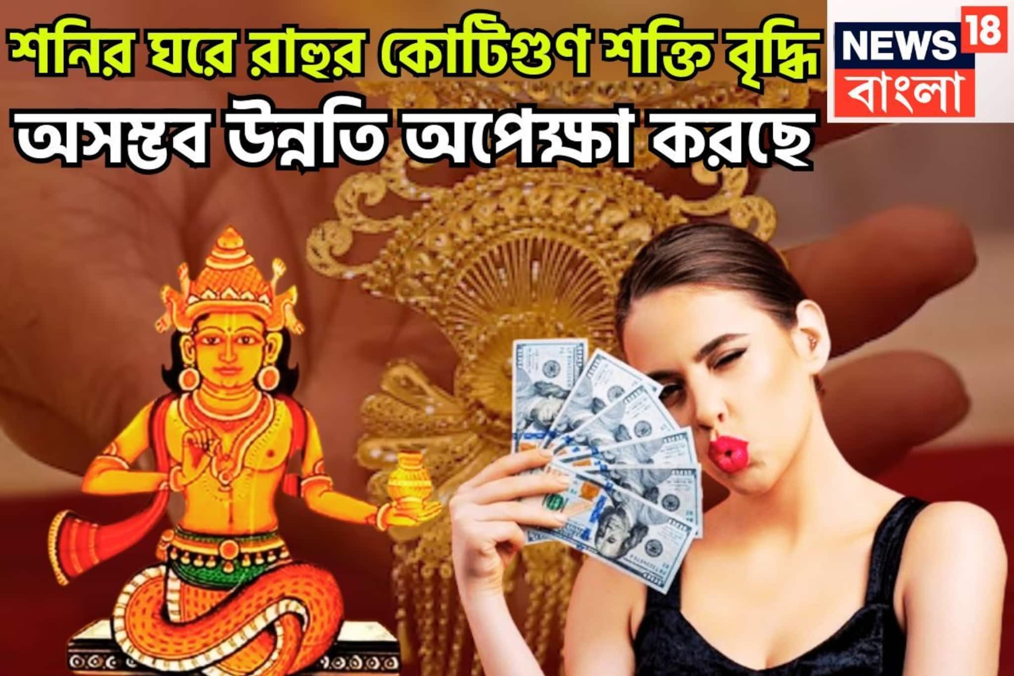 শনির রাশিতে রাহু! অসম্ভব উন্নতি অপেক্ষা করছে, ২০২৬ জুড়েই টাকা পয়সা রোজগারের ধারা বজায়