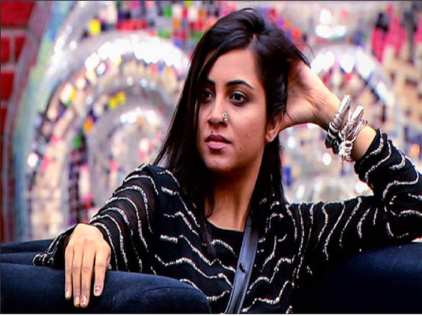 তিনি বলেন,  ‘‘আমি একজন আফগানি পাঠান, এবং আমার পরিবার ইউসুফ জহির পাঠান বংশোদ্ভূত। আমার দাদু আফগানিস্তান থেকে চলে এসেছিলেন এবং ভোপালে একজন জেলর হিসেবে কাজ করেছিলেন। যদিও আমি ভারতে জন্মেছি, আফগানিস্তানে আমার ট্র্যাডিশন রয়েছে।