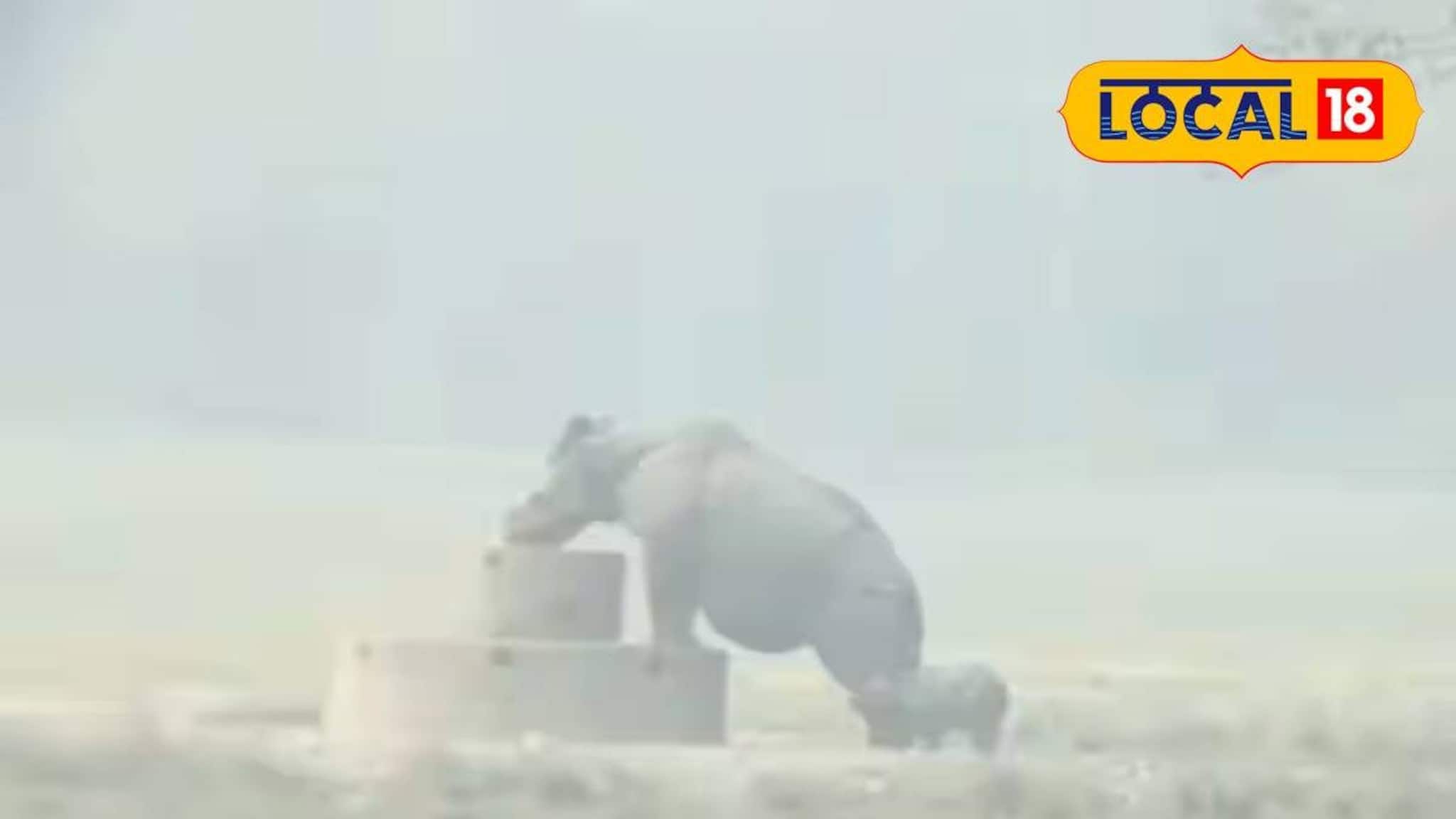 Baby Rhino: শীতে ডুয়ার্স ভ্রমণ জমে ক্ষীর! ফুটফুটে শাবক নিয়ে রামসাইয়ে হাজির মা গণ্ডার, পর্যটক মহলে খুশির আমেজ