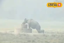 Baby Rhino: শীতে ডুয়ার্স ভ্রমণ জমে ক্ষীর! ফুটফুটে শাবক নিয়ে রামসাইয়ে হাজির মা গণ্ডার, পর্যটক মহলে খুশির আমেজ