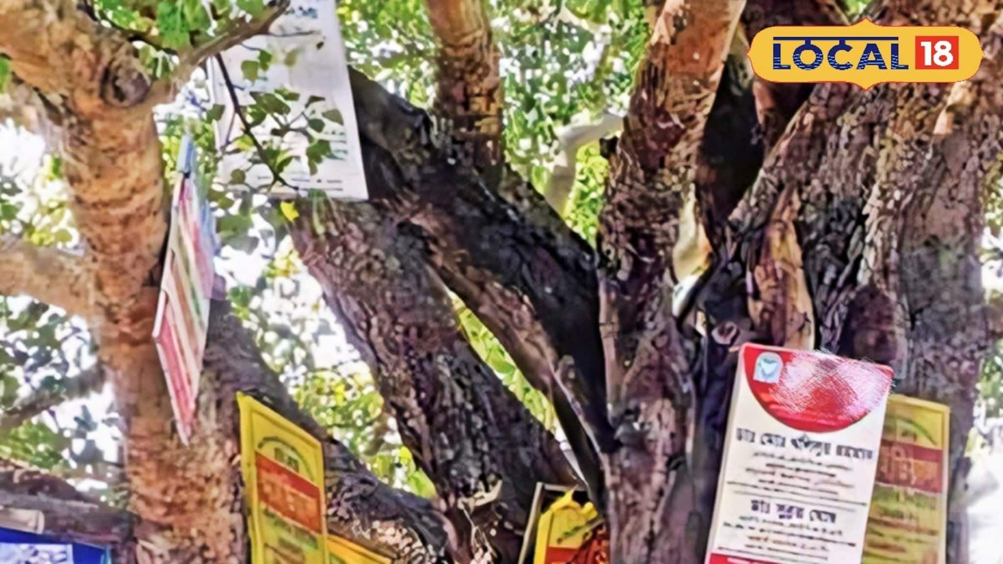 গাছের গায়ে পেরেক পুঁতে ঝুলছে ব্যানার, বিজ্ঞাপন! ঝুঁকির মুখে অদূর ভবিষ্যৎ, কবে ফিরবে হুঁশ