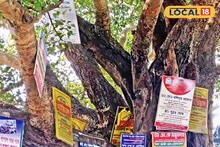 গাছের গায়ে পেরেক পুঁতে ঝুলছে ব্যানার, বিজ্ঞাপন! অসাধু ব্যবসায়ীদের অসচেতনতায় ঝুঁকির মুখে অদূর ভবিষ্যৎ, আর কবে ফিরবে হুঁশ