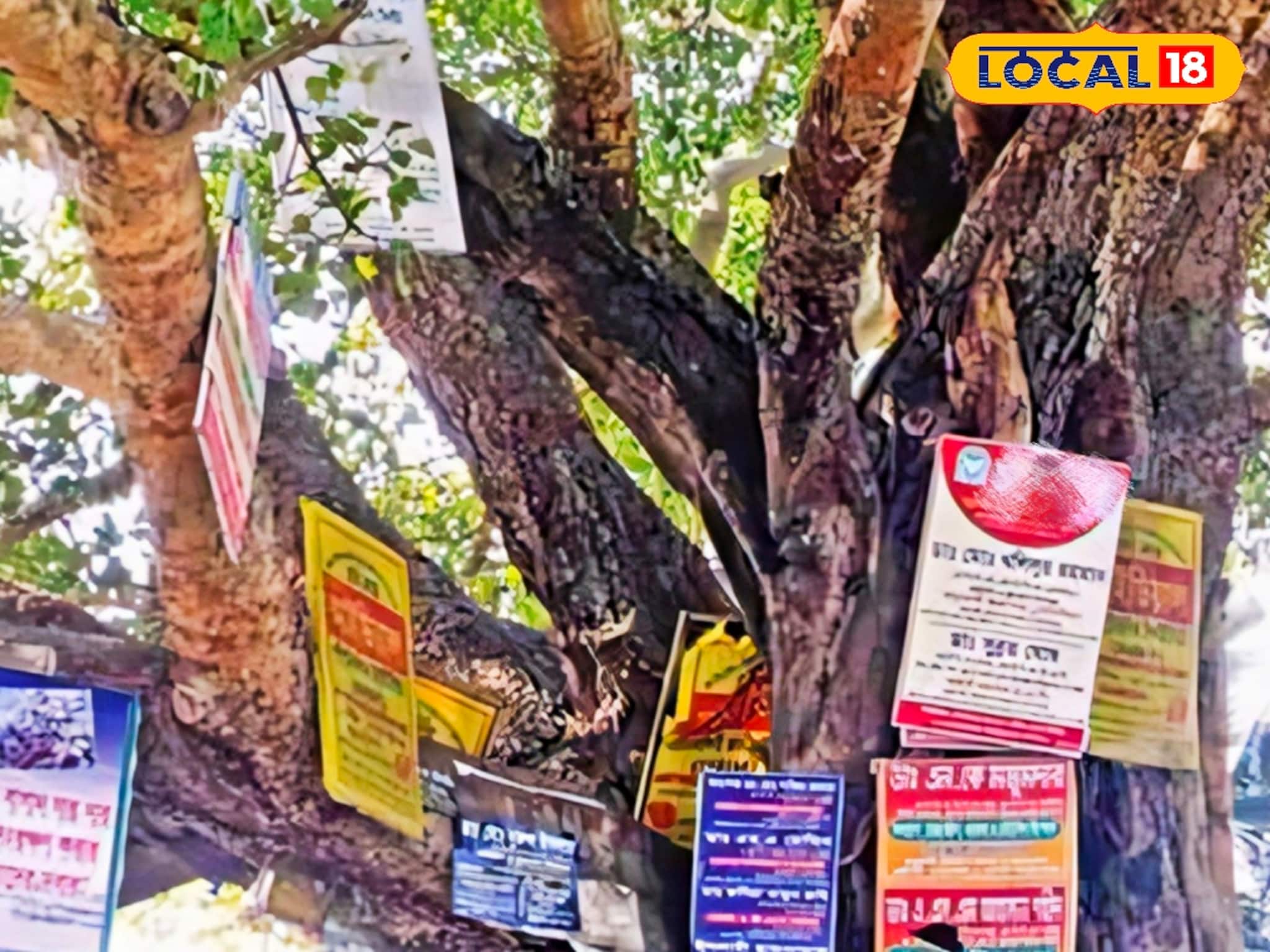 গাছের গায়ে পেরেক পুঁতে ঝুলছে ব্যানার, বিজ্ঞাপন! ঝুঁকির মুখে অদূর ভবিষ্যৎ, কবে ফিরবে হুঁশ গাছের গায়ে পেরেক পুঁতে ঝুলছে ব্যানার, বিজ্ঞাপন! ঝুঁকির মুখে অদূর ভবিষ্যৎ, কবে ফিরবে হুঁশ