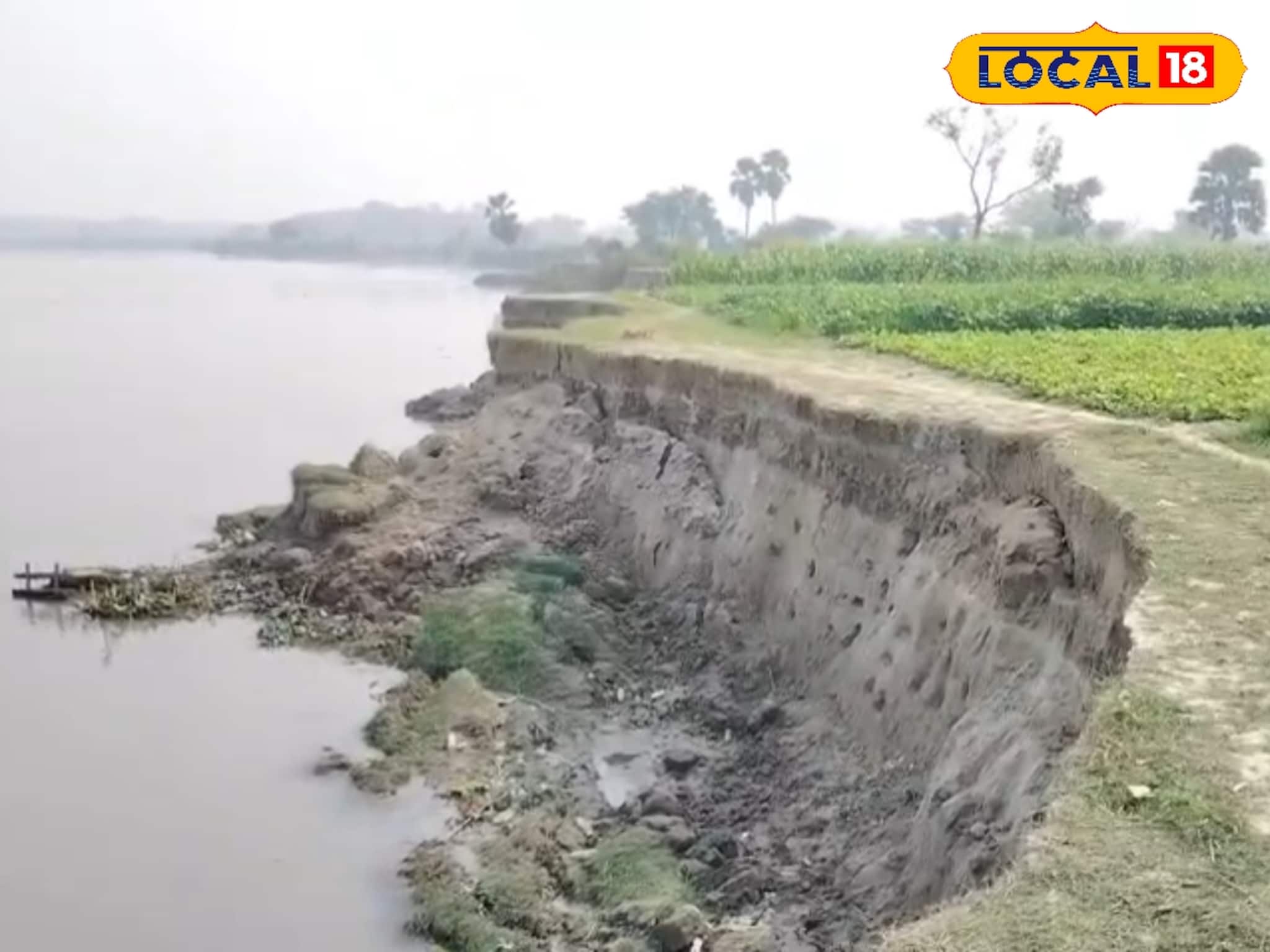 Nadia News: ভাগীরথীর ভাঙনে ফসল ভরা জমি বিলীন, গিলতে আসছে ভিটেমাটিও! আতঙ্কে নবদ্বীপের বাহিরচর গ্রামের চাষিরা