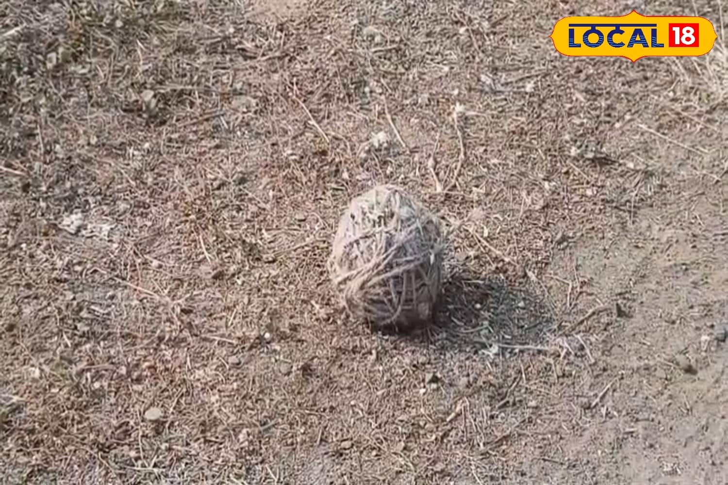 উদ্ধার হওয়া বোমা 