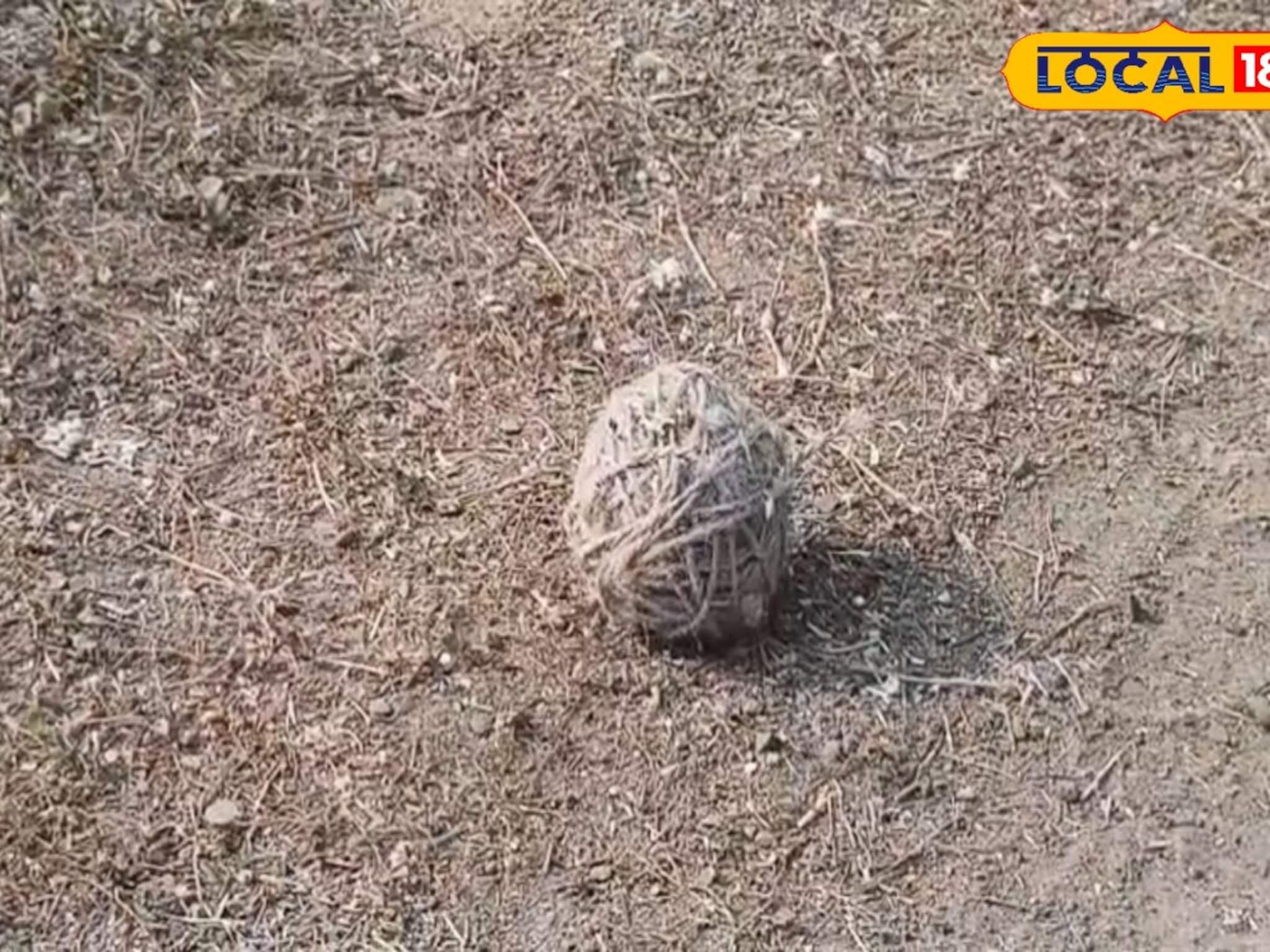 সিউরিতে স্কুল চত্বরে উদ্ধার হল বোমা! এলাকায় চাঞ্চল্য, তদন্তে পুলিশ