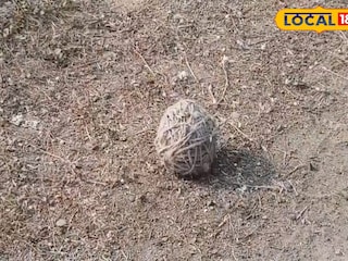 প্রতীকী ছবি প্রতীকী ছবি