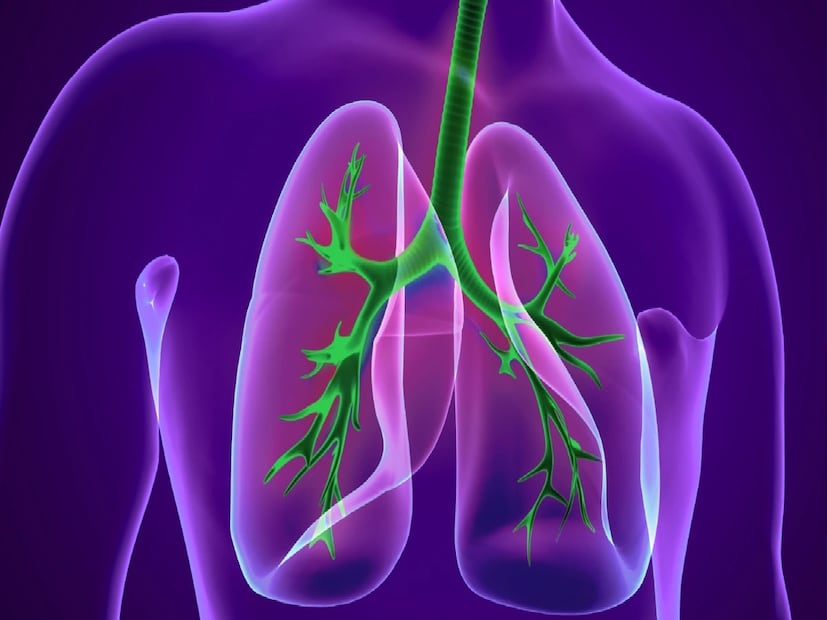 *হঠাৎ তাপমাত্রা হ্রাস অনিবার্য হতে পারে, তবে COPD-র উপর এর প্রভাব পড়তে দেওয়ার দরকার নেই। সঠিক সচেতনতা, সময়মতো সতর্কতা এবং সঠিক চিকিৎসা নির্দেশিকা সহ শীতকালীন প্রদাহ উল্লেখযোগ্যভাবে হ্রাস করা যেতে পারে, রোগীদের ঋতু জুড়ে সহজে শ্বাস নিতে সাহায্য করা যায়। আসল কথা শুধু শীত নয়, সারা বছর ধরে স্বাস্থ্যকর, পূর্ণাঙ্গ জীবনযাপন করার জন্য ব্যক্তিদের ক্ষমতা দেওয়া। সংগৃহীত ছবি।