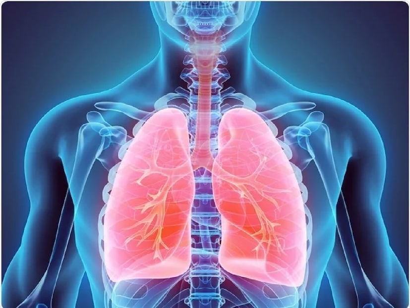 *শারীরবৃত্তীয় কারণঃ যখন বাতাস উষ্ণ এবং আর্দ্র থাকে তখন ফুসফুস সবচেয়ে দক্ষতার সঙ্গে কাজ করে। যখন তাপমাত্রা হঠাৎ কমে যায়, তখন শ্বাসনালী হঠাৎ করে সংকুচিত হয়, বায়ুপ্রবাহ সীমিত করে এবং কম অক্সিজেন সরবরাহ করে। নিম্ন তাপমাত্রা ব্রঙ্কিয়াল টিউবগুলিতে প্রদাহ সৃষ্টি করে, যা COPD-র অংশে ফোলাভাব বৃদ্ধি করবে। ঠান্ডাজনিত কারণে শ্বাসনালী সংকুচিত হওয়ার ফলে হৃদরোগের চাপও বাড়তে পারে, বিশেষ করে সহজাত হৃদরোগে আক্রান্ত ব্যক্তিদের ক্ষেত্রে। এই শারীরবৃত্তীয় পরিবর্তনগুলি একসঙ্গে ব্যাখ্যা করে যে শীতের মাসগুলিতে COPD রোগীদের জন্য কেন আরও মনোযোগ এবং যত্ন প্রয়োজন। সংগৃহীত ছবি। 