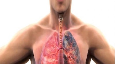 শীতে বাড়ে সিও পিডি রোগীদের সমস্যা। প্রতীকী ছবি। 