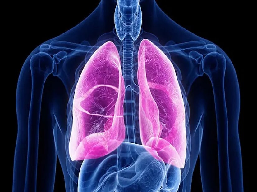 *স্বাভাবিকভাবেই হাইড্রেটেড থাকা শ্লেষ্মা পাতলা করে, যা এর নির্গমন সহজ করে তোলে। ডাক্তারের নির্ধারিত ইনহেলারের নিয়মিত ব্যবহার সমানভাবে গুরুত্বপূর্ণ, যা শ্বাসনালীর প্রদাহকে স্থিতিশীল করে। টিকা, বিশেষ করে ইনফ্লুয়েঞ্জা এবং নিউমোকোকাল ভ্যাকসিন, COPD-কে নিয়ন্ত্রণ করে সংক্রমণের ঝুঁকি হ্রাস করার মাধ্যমে একটি অপরিহার্য প্রতিরোধমূলক ভূমিকা পালন করে। রোগীদের এবং পরিবারকে লক্ষণগুলি নিবিড়ভাবে পর্যবেক্ষণ করতে হবে, কাশি, শ্বাসকষ্ট বা শ্লেষ্মা উৎপাদন বৃদ্ধির প্রথম লক্ষণ দেখা মাত্রই সঙ্গে সঙ্গে চিকিৎসাগত নির্দেশিকা অনুসরণ করতে হবে। সংগৃহীত ছবি। 