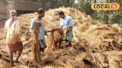 রাতের অন্ধকারে কেটে রাখা পাকা ধানে আগুন 