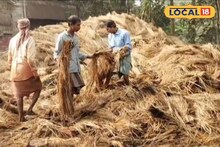 West Medinipur News: রাতের অন্ধকারে পুড়ে ছাই খামারে কেটে রাখা পাকা ধান, সর্বস্বান্ত কৃষক, ইচ্ছাকৃত আগুন লাগানোর অভিযোগ