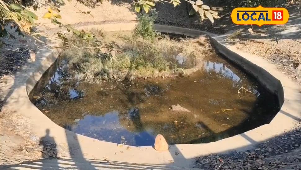 কচ্ছপদের জন্য সংরক্ষিত বাসস্থান