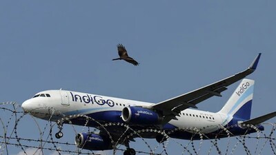 ইন্ডিগোকে ৫% ফ্লাইট কমানোর নির্দেশ ডিজিসিএ-র