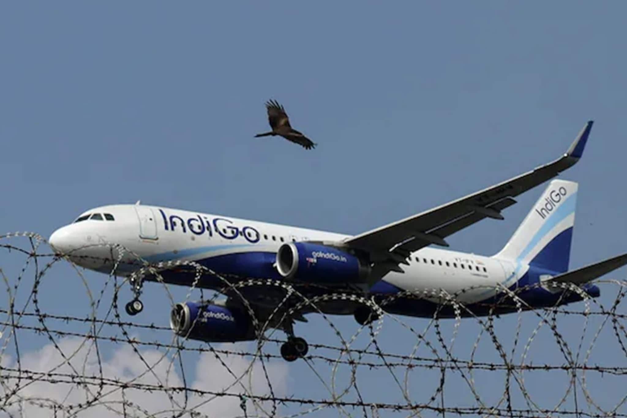 IndiGo Crisis: ইন্ডিগোকে ৫% ফ্লাইট কমানোর নির্দেশ ডিজিসিএ-র, বুধবার বিকেলের মধ্যে দিতে হবে নতুন শিডিউল