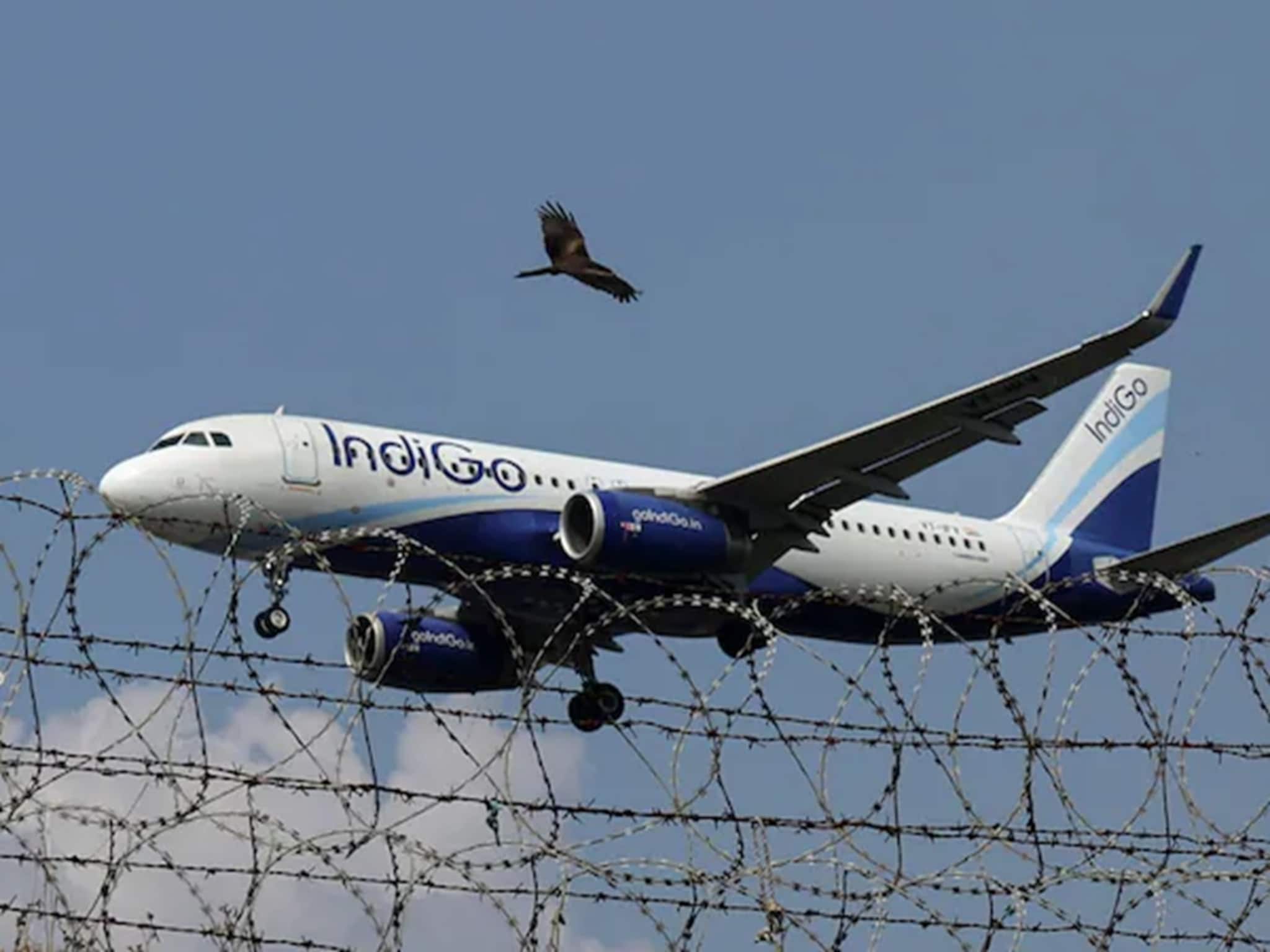 IndiGo Crisis: ইন্ডিগোকে ৫% ফ্লাইট কমানোর নির্দেশ ডিজিসিএ-র, বুধবার বিকেলের মধ্যে দিতে হবে নতুন শিডিউল