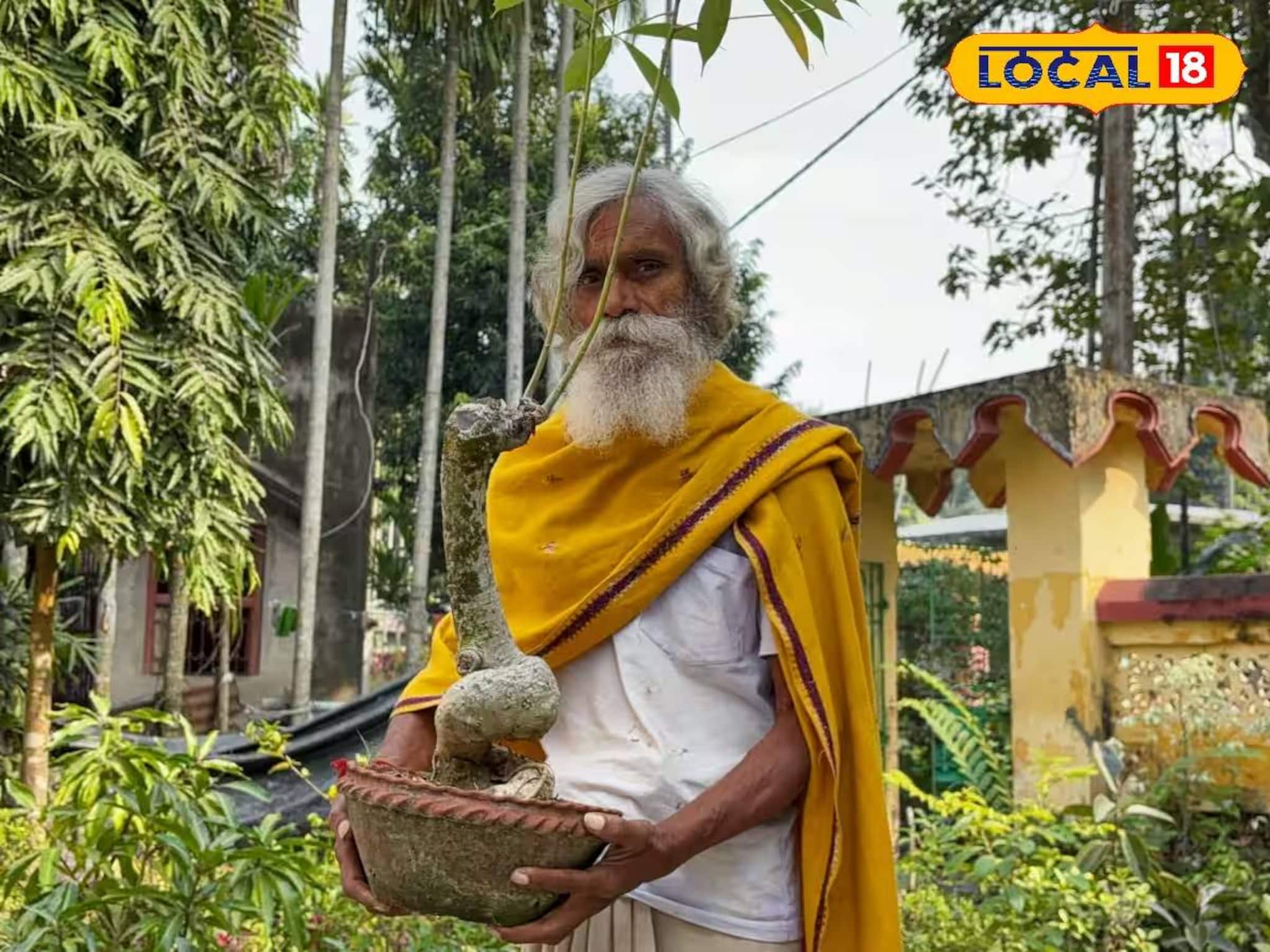 গাছ দিয়েই অজগর-গণেশ থেকে কাঁকড়া! কাটোয়ার দিনু দাদুর অবিশ্বাস্য সব সৃষ্টি গাছ দিয়েই অজগর-গণেশ থেকে কাঁকড়া! কাটোয়ার দিনু দাদুর অবিশ্বাস্য সব সৃষ্টি