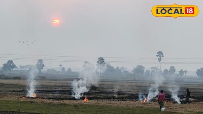 নাড়া পোড়ার ছবি