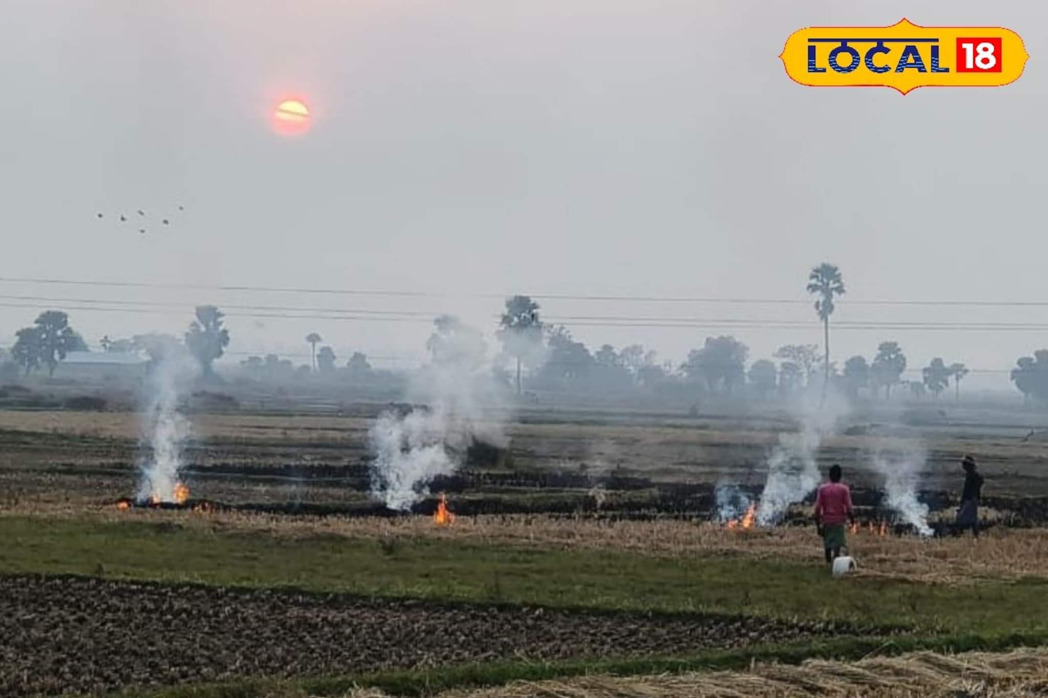 পাঞ্জাব-হরিয়ানার পথে বাংলা! অবাধে নাড়া পুড়িয়ে অজান্তেই নিজের বিপদ ডাকছেন চাষিরা