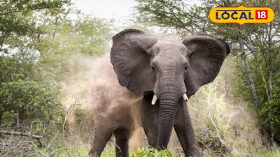 প্রতিকী ছবি