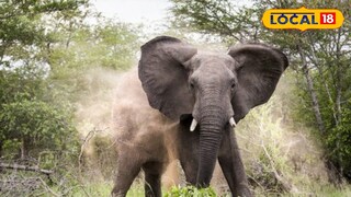 প্রতিকী ছবি প্রতিকী ছবি